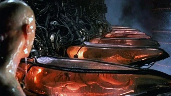 Neo Looks at the Bodies in Pawn